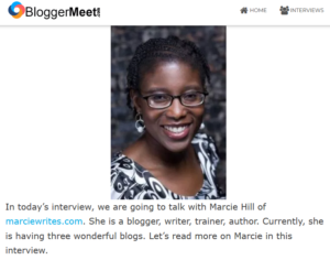Blogger Meet - Faiq Ansari